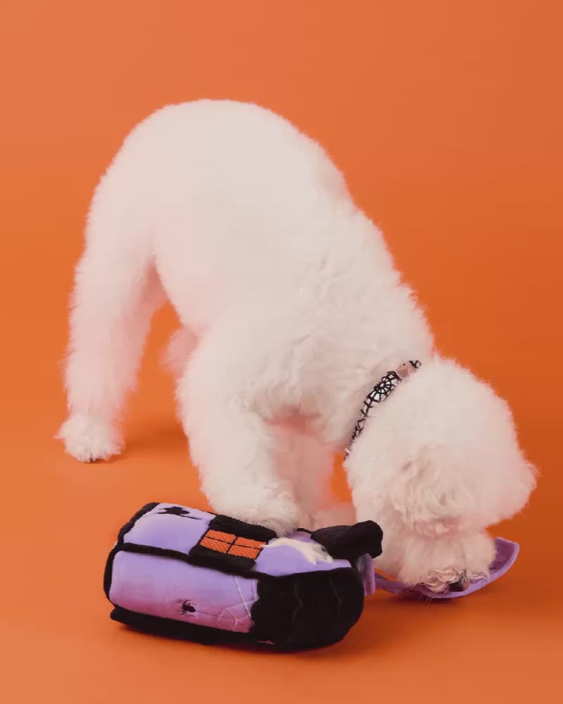 Haunted House Interactive Snuffle Dog Toy PLAY THE FOGGY DOG