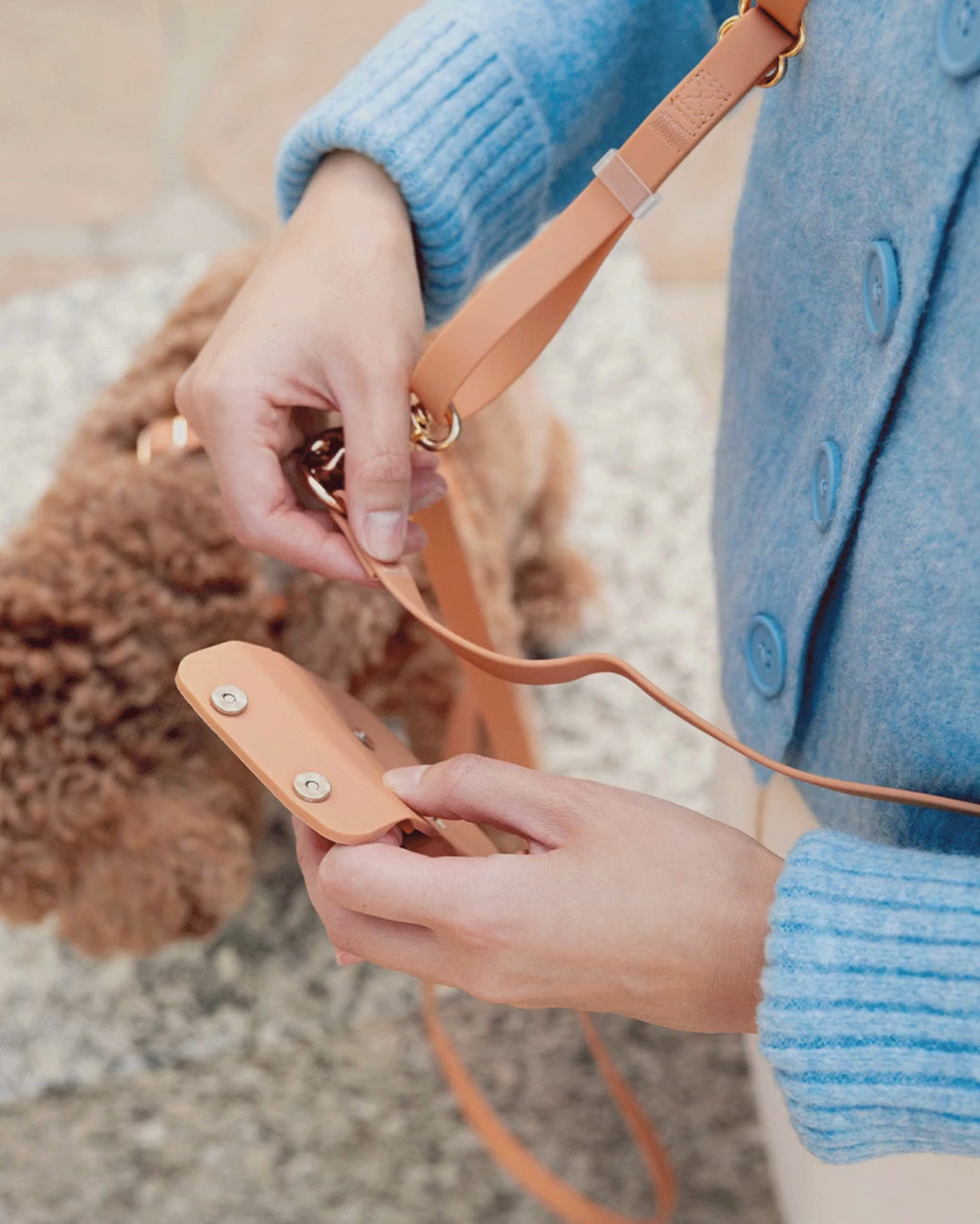 Chai Brown Snap Dog Treat Pouch Accessories SUNNY TAILS