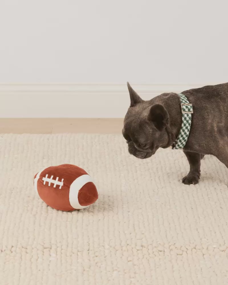 Football Interactive Snuffle Dog Toy PLAY THE FOGGY DOG