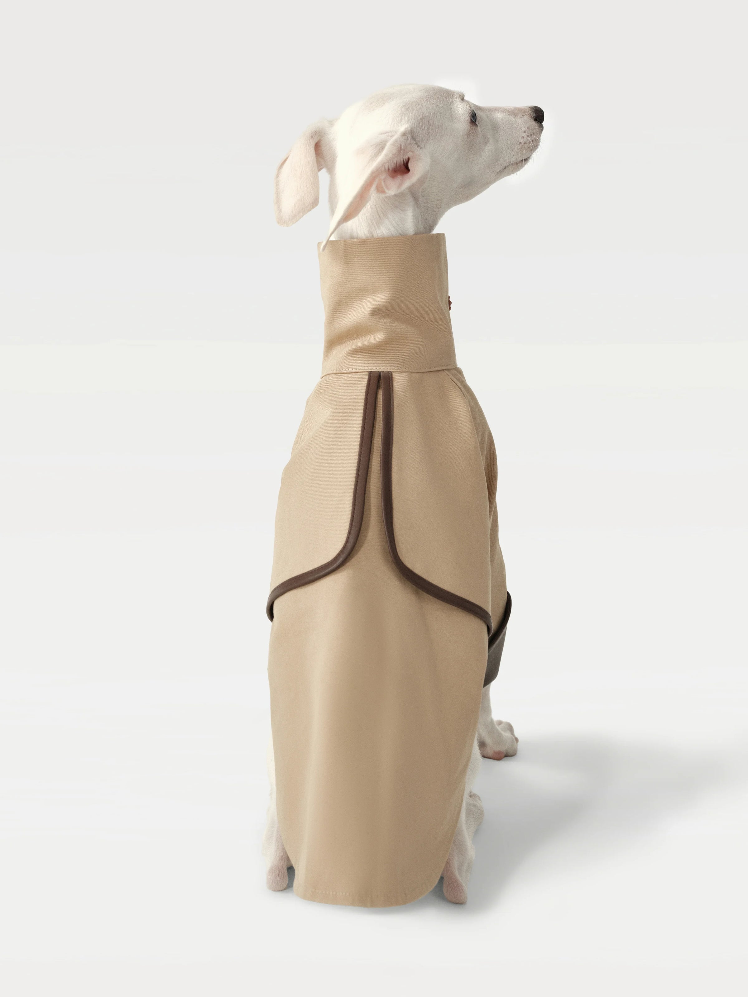 RIIKYU | Classic Toggle Trench Coat for Dogs | DOG & CO.