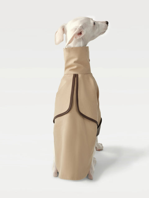 trench_coat_4_aa51ae88-d6b6-