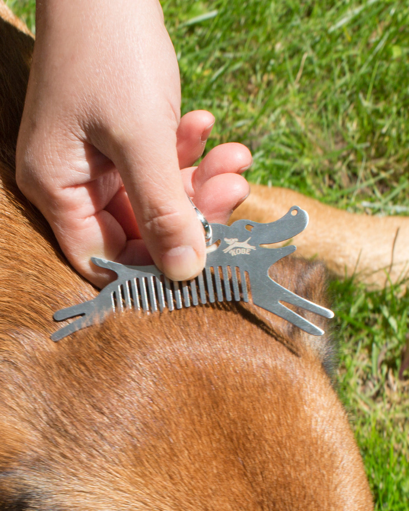 Dog Tick Comb Tool w/ Keychain Attachment Add-Ons KIKKERLAND   