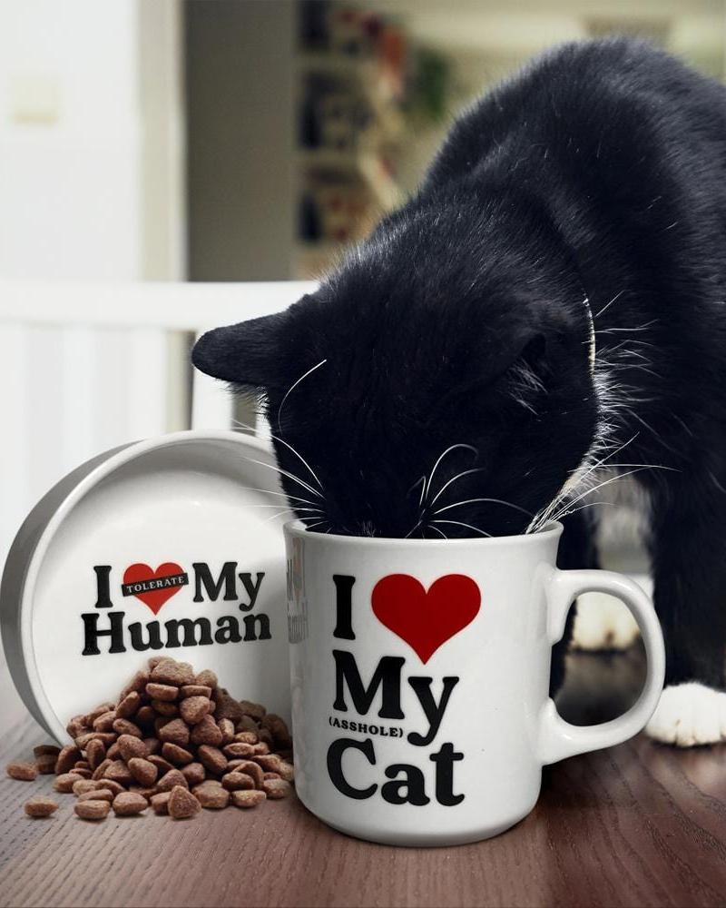 Ceramic Mug & Cat Bowl Set Human FRED & FRIENDS   