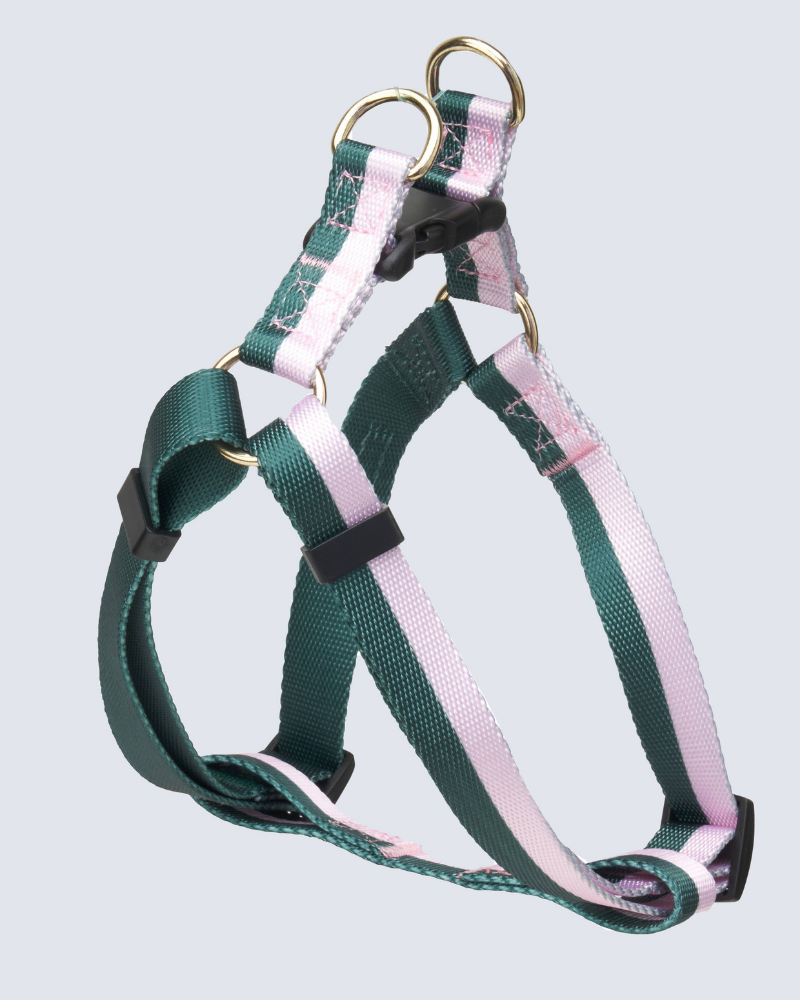 Stripe Adjustable Dog Harness (FINAL SALE) WALK BOULEVARD   