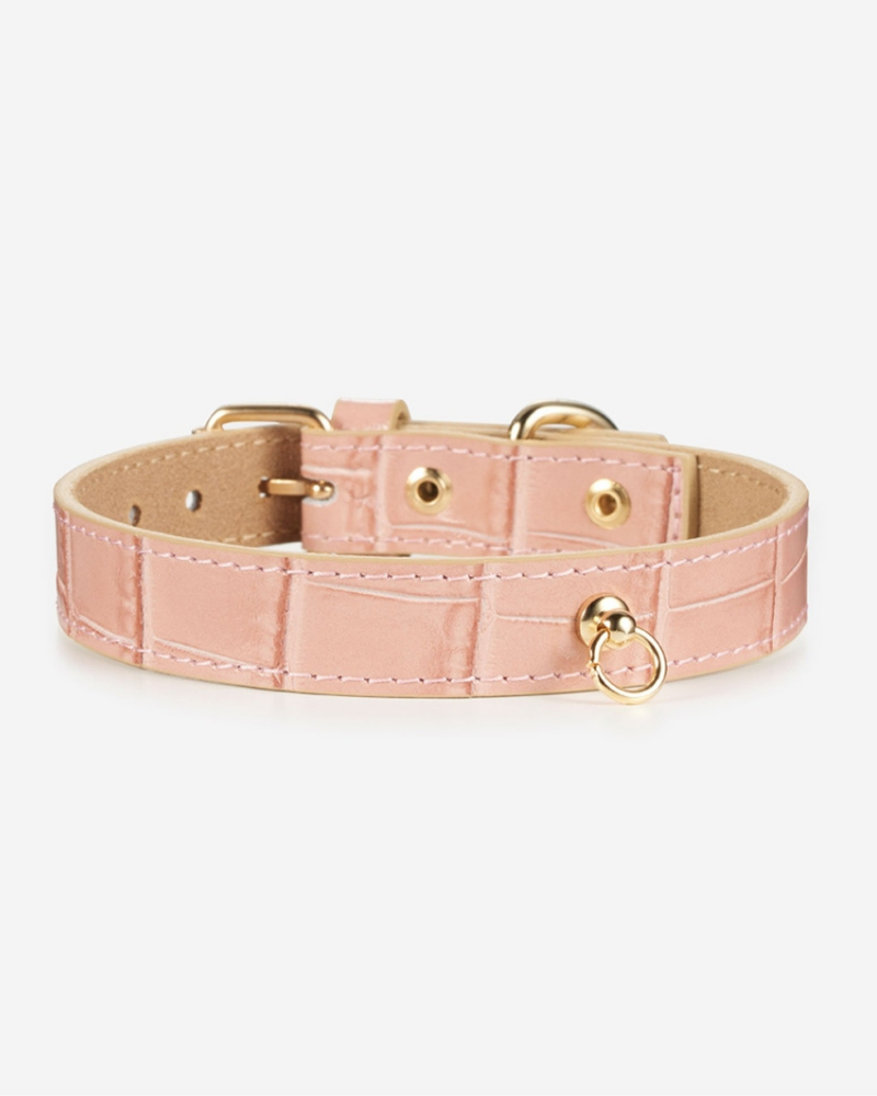 Lia Crocodile Print Leather Dog Collar in Pale Pink (Made in Italy) Dog Collar BRANNI   