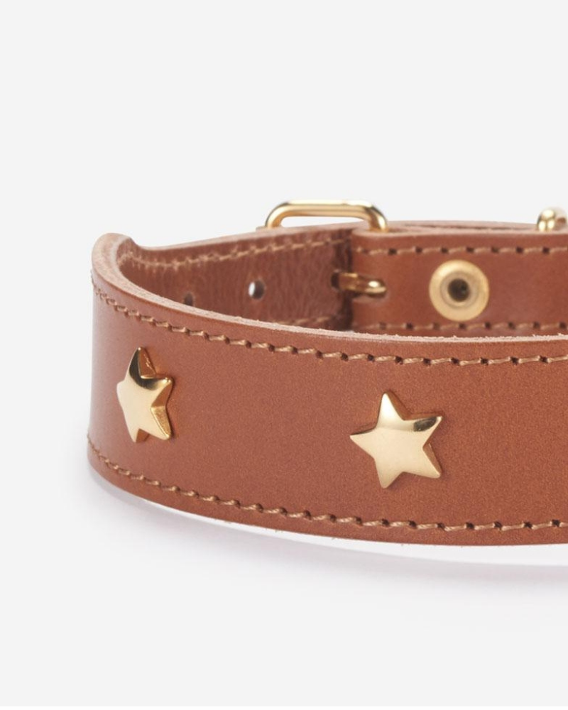 Cognac Leather Dog Collar with Brass Stars (Made in Italy) Dog Collar BRANNI   