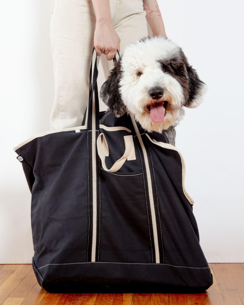 City Carrier Dog Bag in Size 4 Carry DOG & CO. COLLECTION Black  