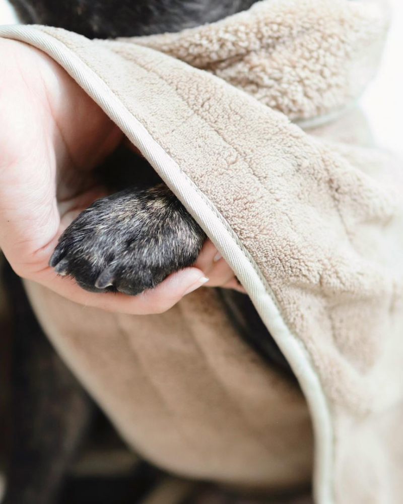 Baby Fleece Microfiber Dog Bathrobe HOME LAMBWOLF COLLECTIVE   