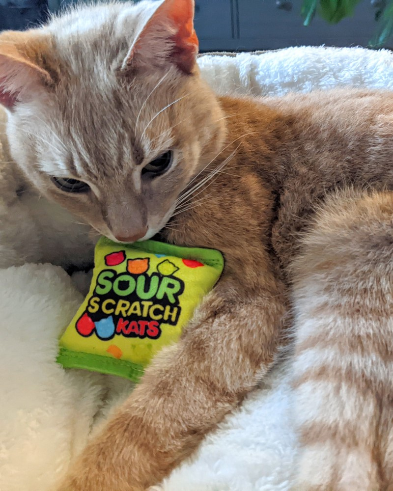 Sour Scratch Kids Catnip Cat Toy HOME Huxley & Kent   