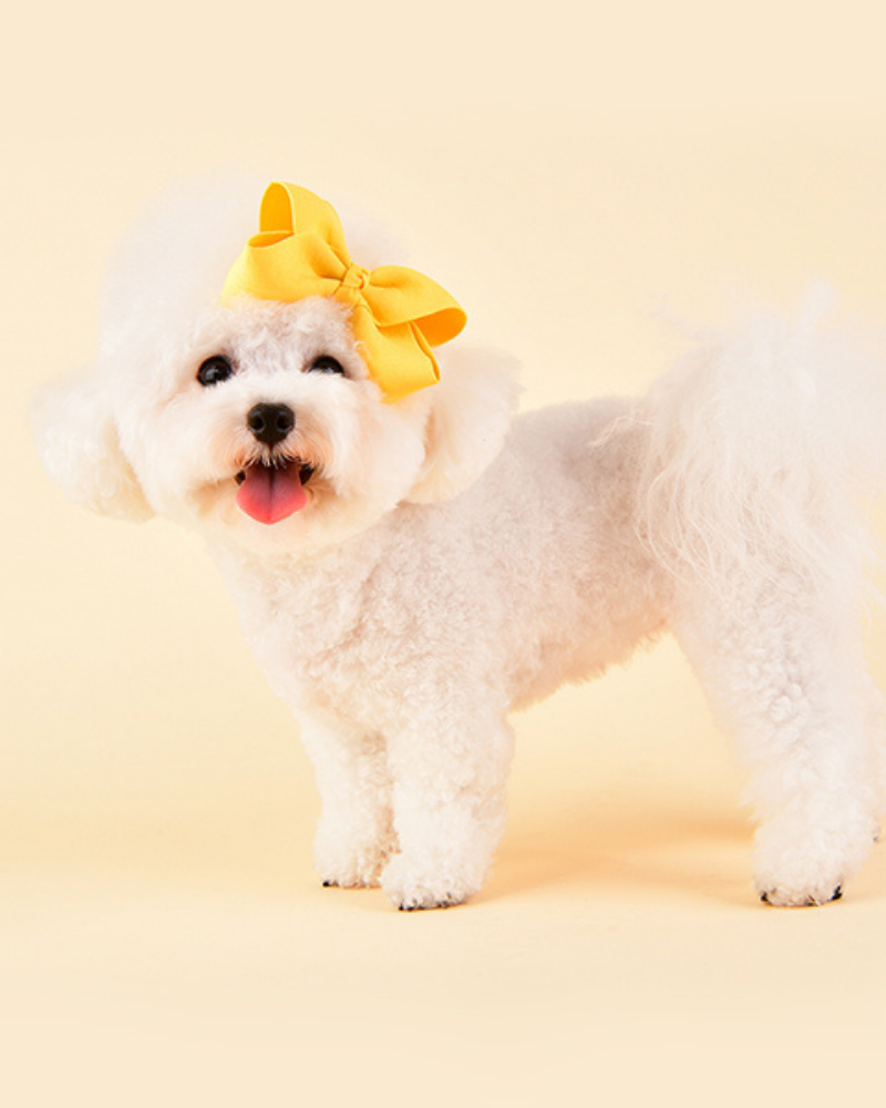 Princess Ribbon Dog Hair Bow Accessories Olchi   