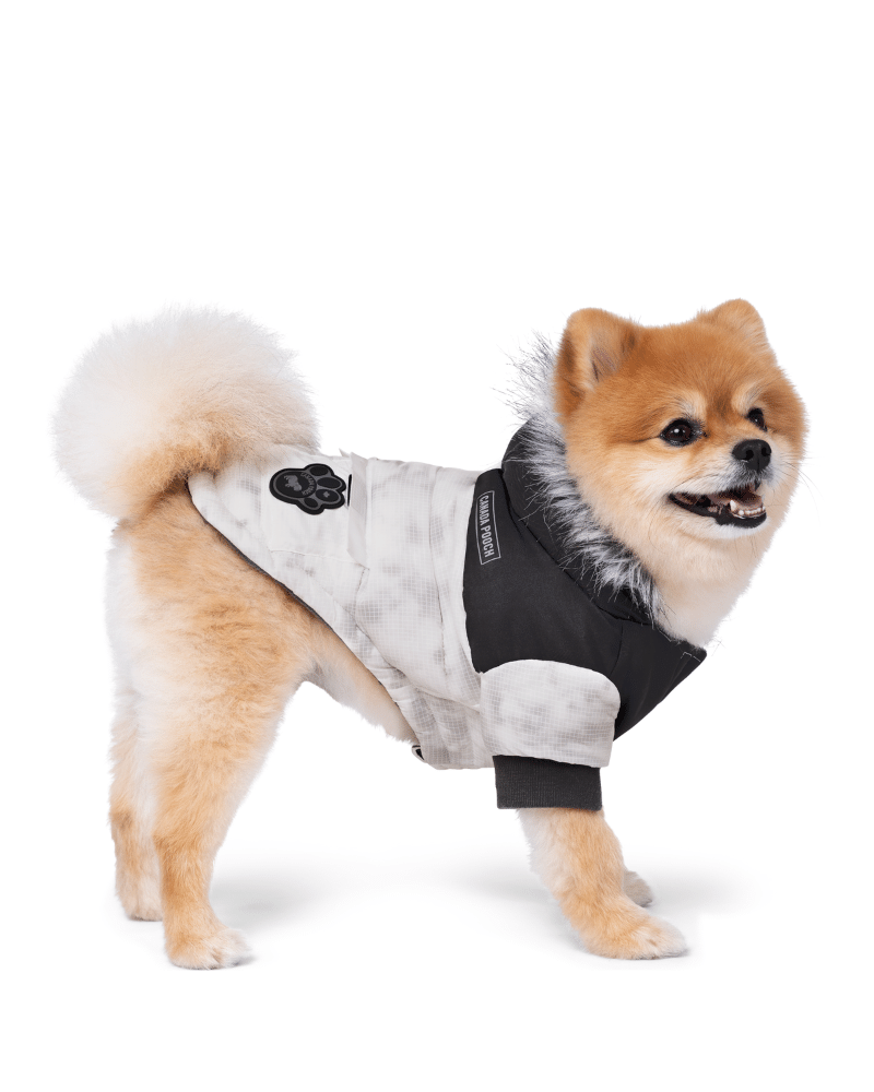 Eco True North Dog Parka in Marble << FINAL SALE >> Wear CANADA POOCH   