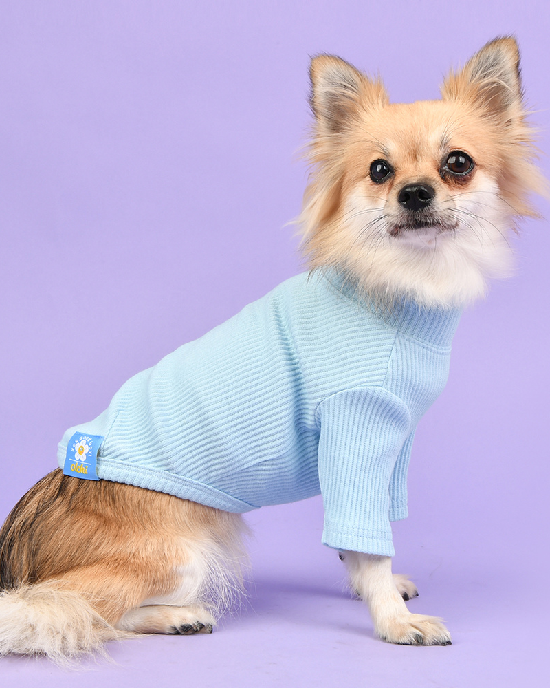 Ribbed Dog Turtleneck Tee In Light Blue Wear OLCHI   