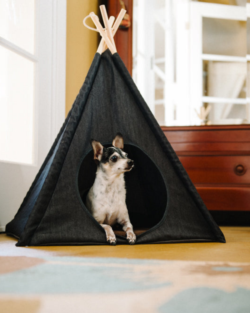 Denim Pet Teepee (Direct-Ship) HOME P.L.A.Y.   