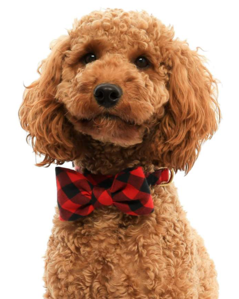 Buffalo Plaid Dog Bow Tie Wear THE FOGGY DOG   