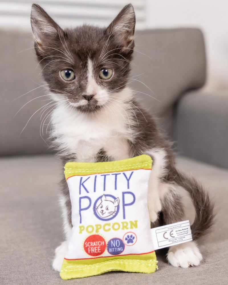 Kitty Pop Crinkle Plush Cat Toy w/ Catnip Play Huxley & Kent   