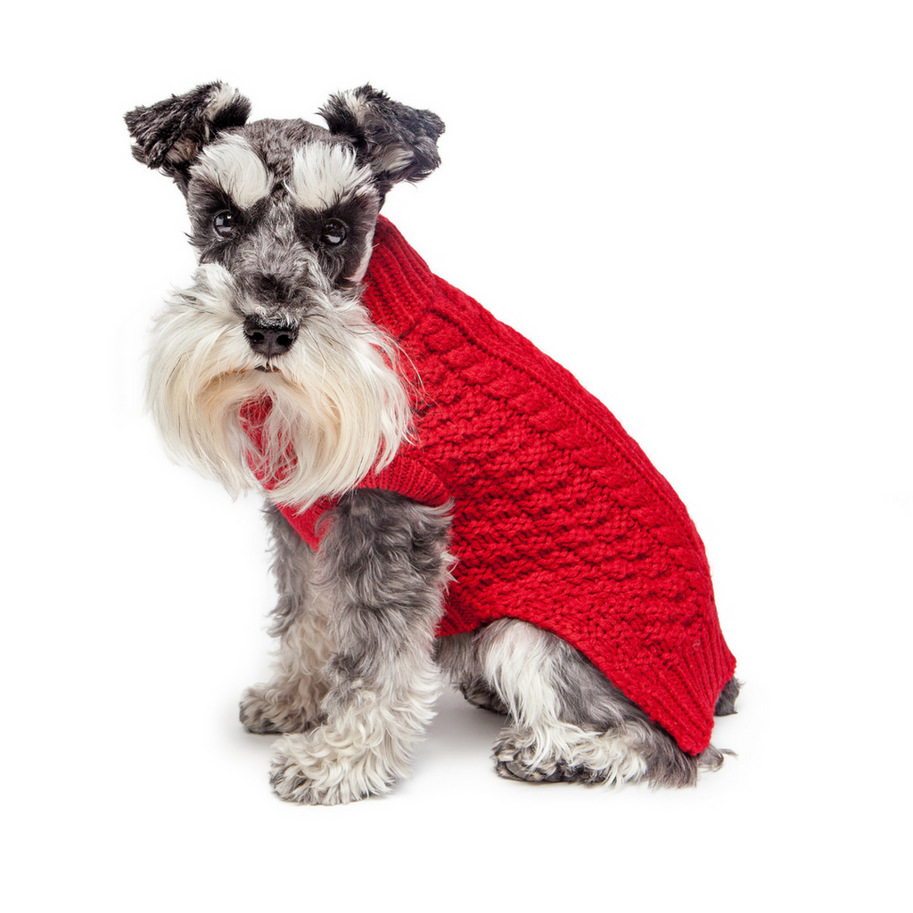 FAB DOG | Chunky Turtleneck Sweater in Red (BIG DOG SALE) Apparel FAB DOG   