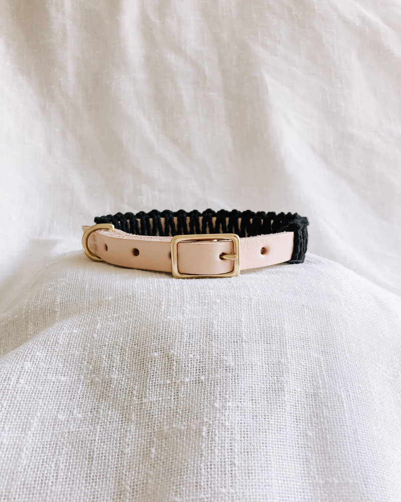 Macrame & Leather Dog Collar in Black w/ Natural (Made in the USA) Dog Collar EMBER & IVORY   