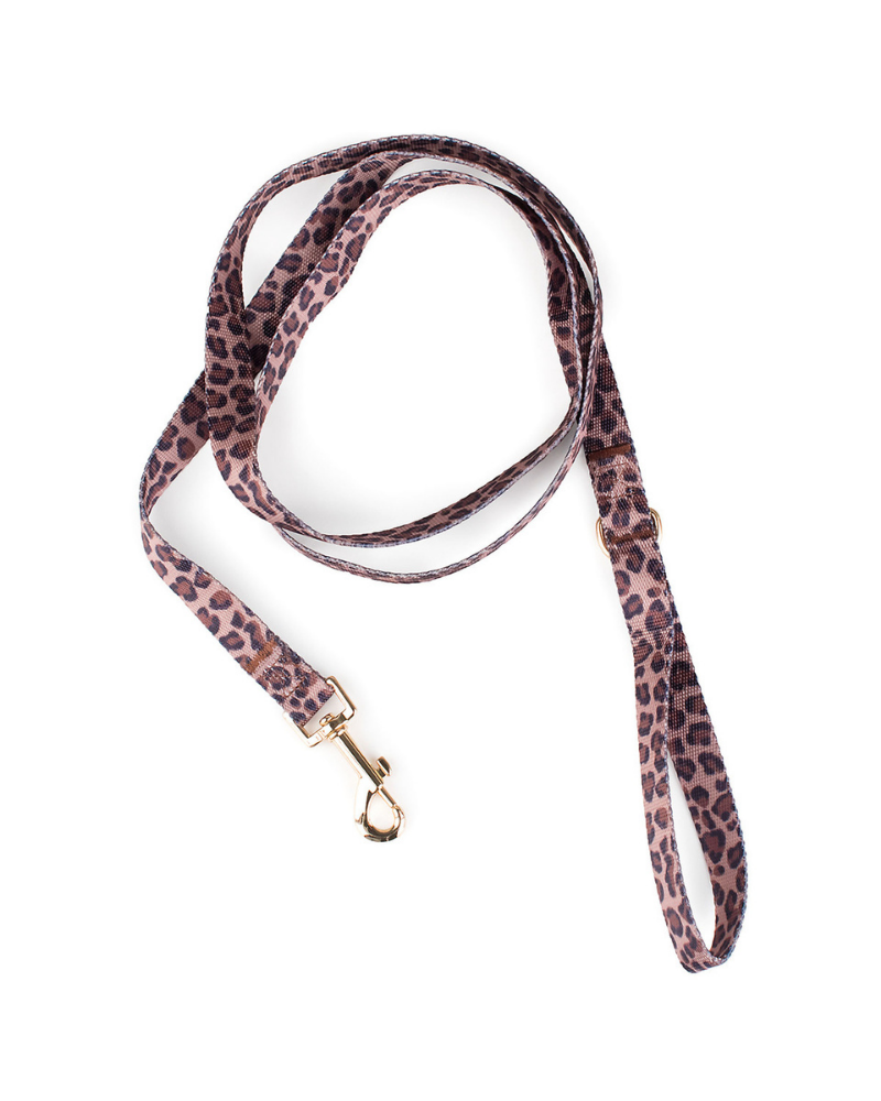 Leopard Dog Leash (FINAL SALE) WALK BOULEVARD   