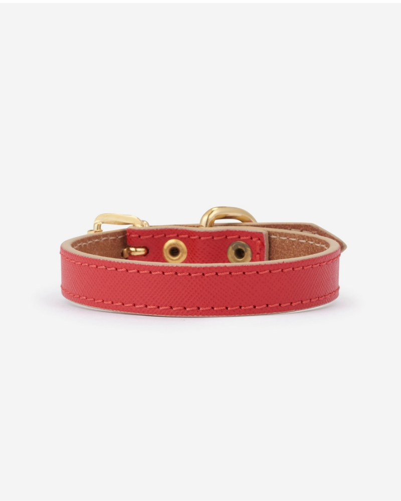 Small Dog Collar in Red Leather (Made in Italy) (FINAL SALE) Dog Collars BRANNI   