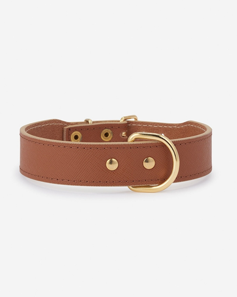 Moni Dog Collar in Cognac Leather (Made in Italy) Dog Collars BRANNI   