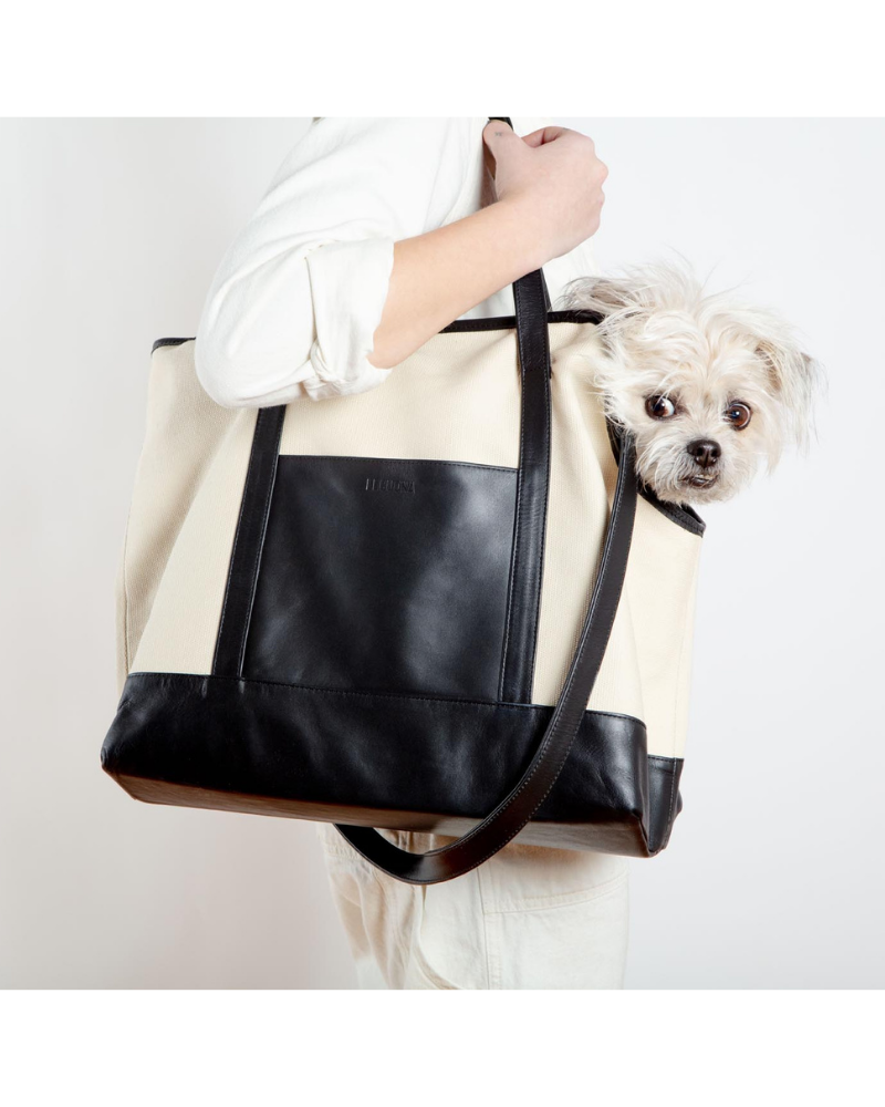 Black Leather & Natural Canvas Luxe Dog Carrier <br>(Made in Mexico)<br>(Dog & Co. Exclusive) Carry LECUONA x DOG & CO.   