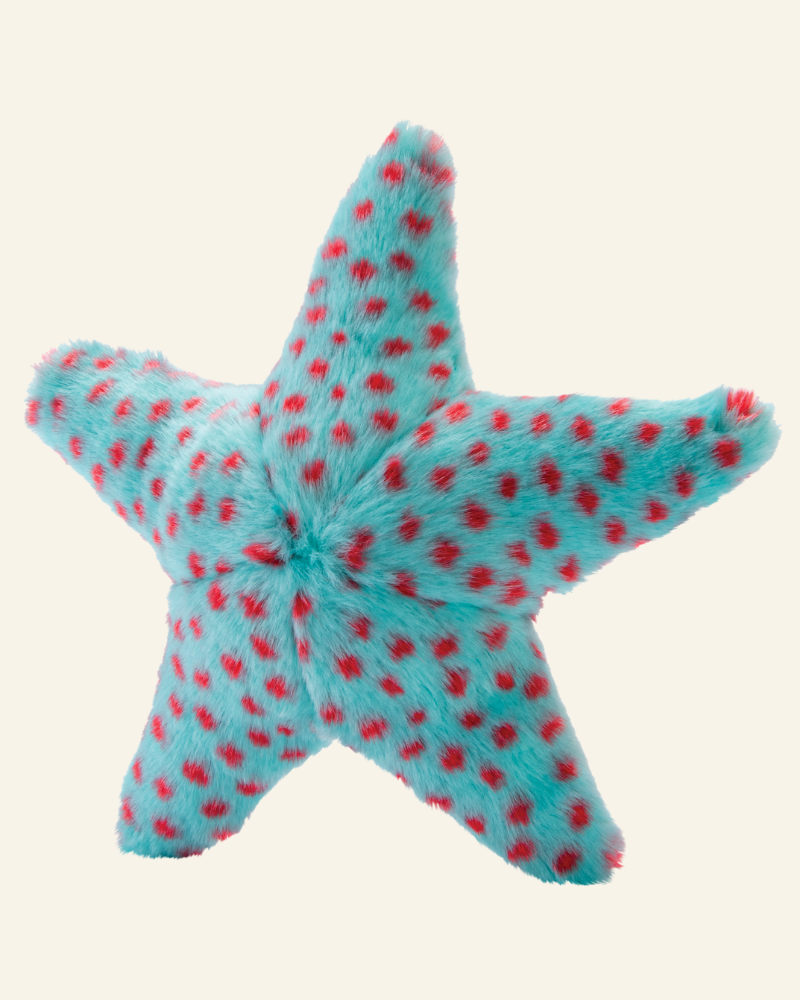 Ally The Starfish Crinkle Plush Dog Toy Play FLUFF & TUFF   