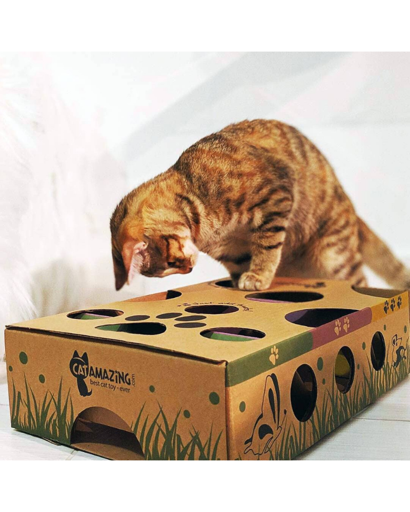 Cat Puzzle Feeder Toy << FINAL SALE >> CAT CAT AMAZING   