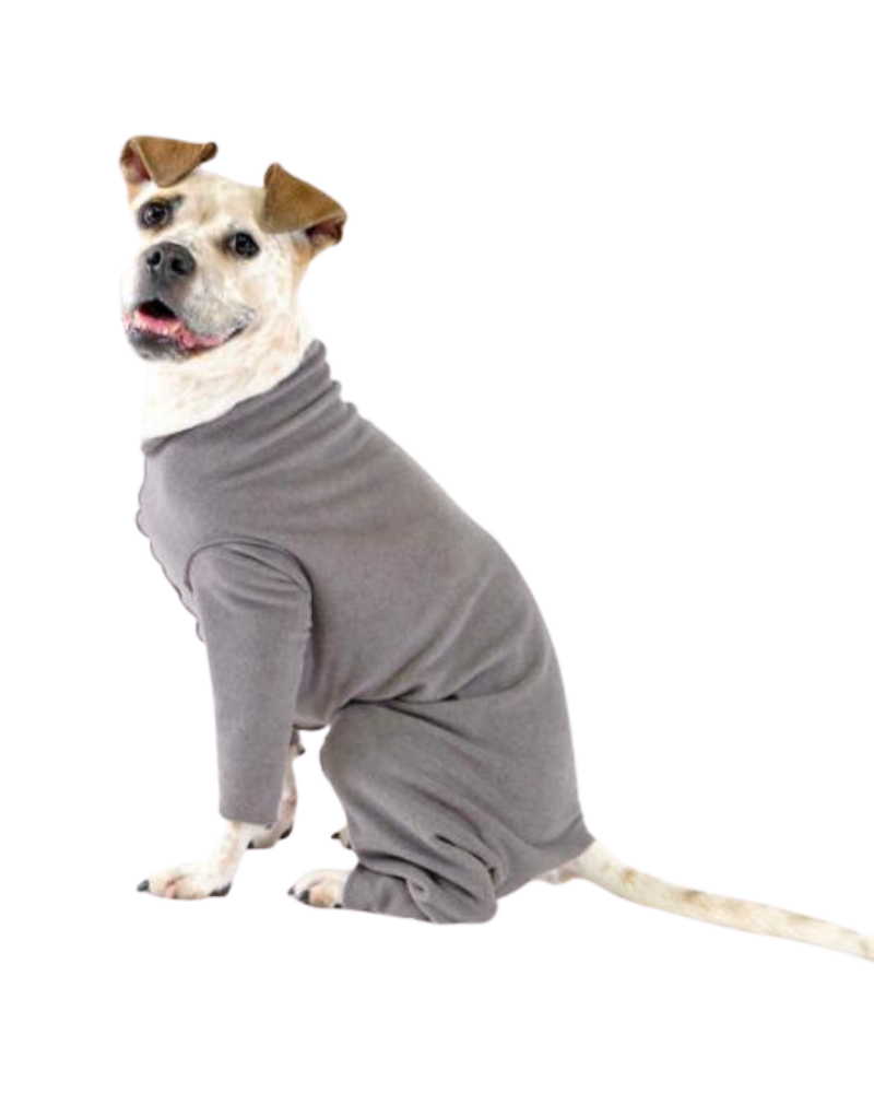 Stretch Fleece Onesie in Charcoal (Made in the USA, DOG & CO. + GOLD PAW Exclusive!) Wear DOG & CO. COLLECTION   