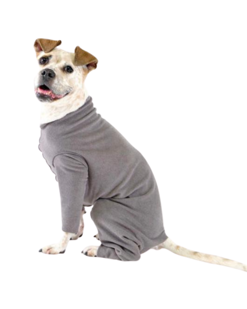 Stretch Fleece Onesie in Charcoal (Made in the USA, DOG & CO. + GOLD PAW Exclusive!) Wear GOLD PAW   