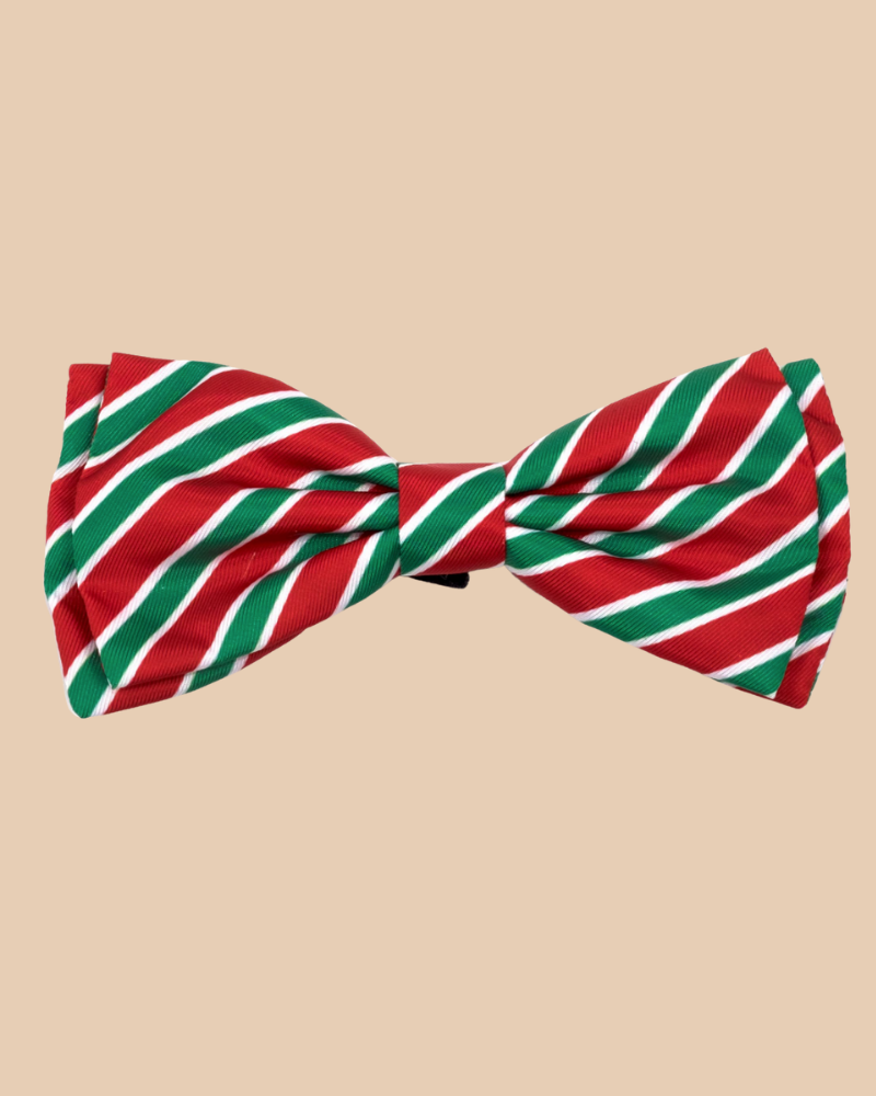 Dignified Dog Bow Tie in Holiday Stripe << FINAL SALE >> Wear THE WORTHY DOG   