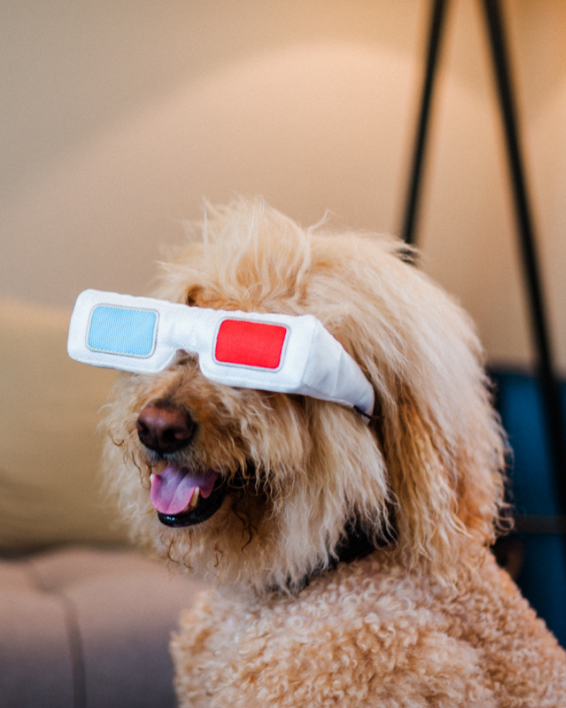 3-D(og) Glasses Hollywoof Collection Dog Toy << FINAL SALE >> Play P.L.A.Y.   