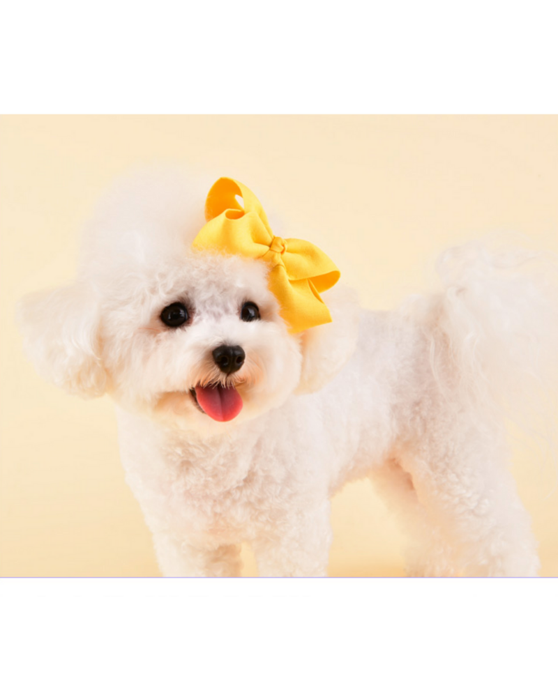 Princess Ribbon Dog Hair Bow Accessories Olchi   