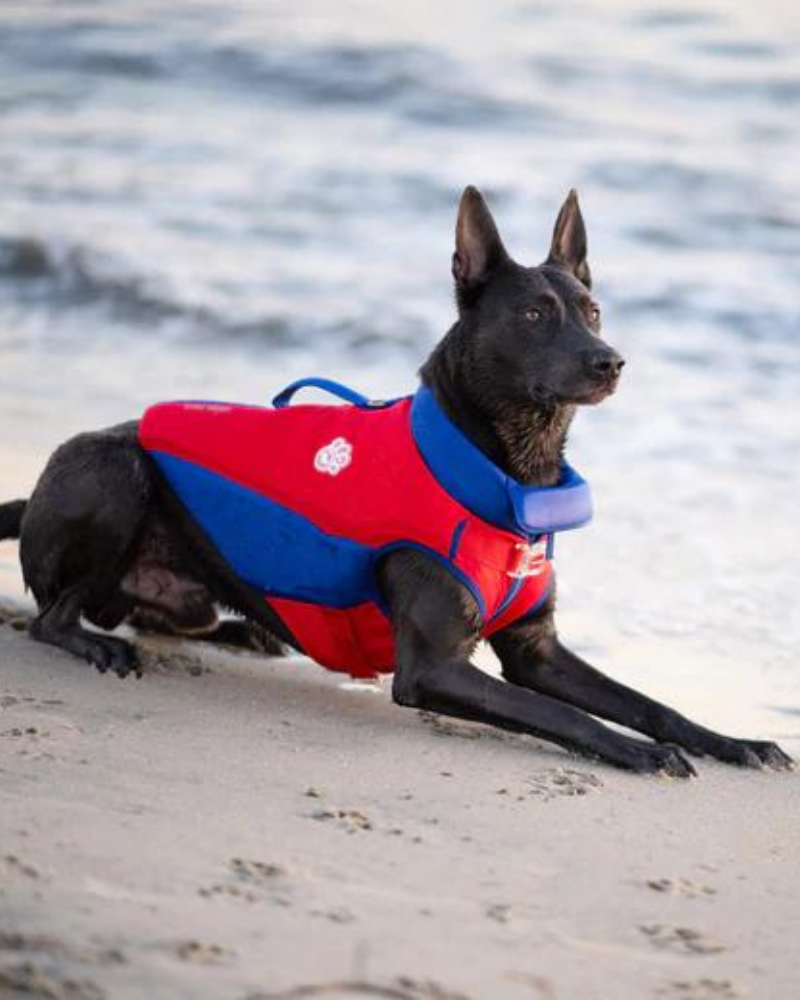 High Tide Dog Life Jacket in Blue & Red (FINAL SALE) Dog Apparel CANADA POOCH   