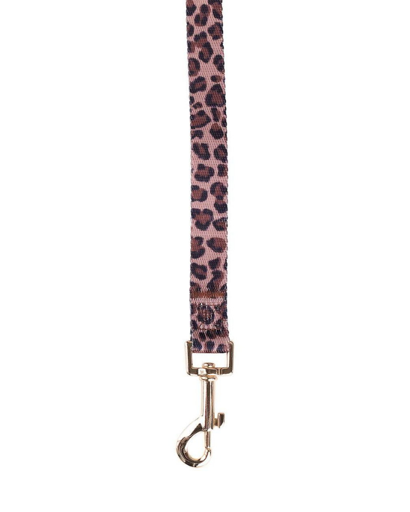 Leopard Dog Leash (FINAL SALE) WALK BOULEVARD   