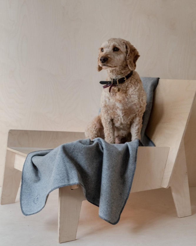 Recycled Wool Pet Blanket in Charcoal Herringbone HOME THE TARTAN BLANKET CO.   