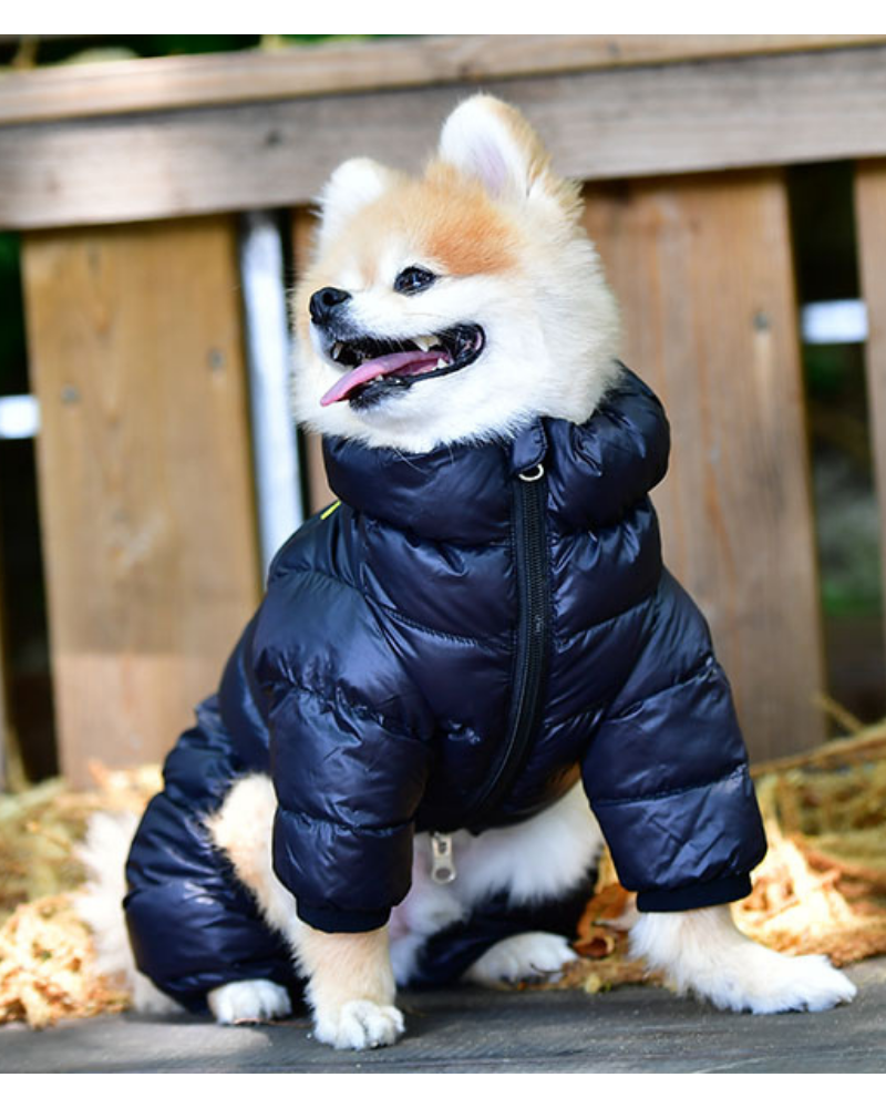 Ultra Light Winter Puffer Jumpsuit in Black (FINAL SALE) Wear PUPPIA   