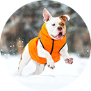 COLLAR BRAND | Reversible AiryVest Lumi in Tangerine + Glow-in-the-Dark Mint (with Harness Hole) Coats & Jackets COLLAR BRAND   