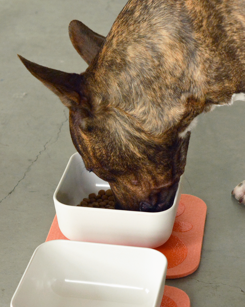 The Bamboo Fiber Puppy Pantry Bowl Set Eat HOUSE DOGGE   