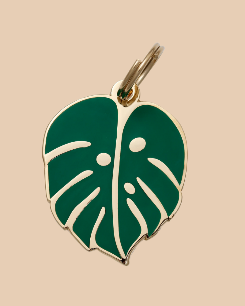 Monstera Deliciosa ID Tag (Custom/Drop-Ship) (Made in the USA) DROP-SHIP TWO TAILS PET COMPANY   