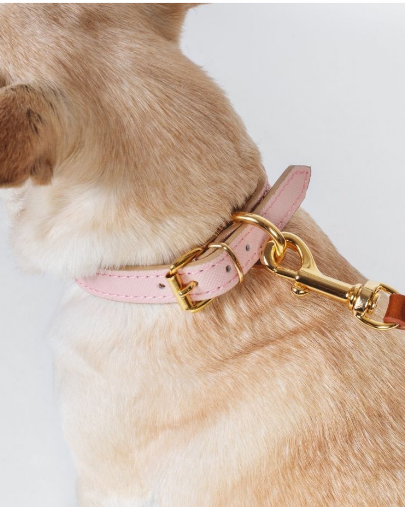 Small Dog Collar in Blush Pink Leather (Made in Italy) (FINAL SALE) Dog Collars BRANNI   