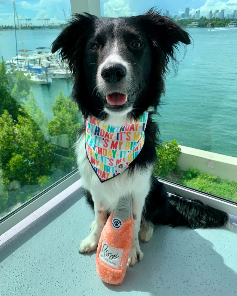 It's My Birthday Dog Bandana (Made in the USA) Wear THE SOCIAL DAWG   