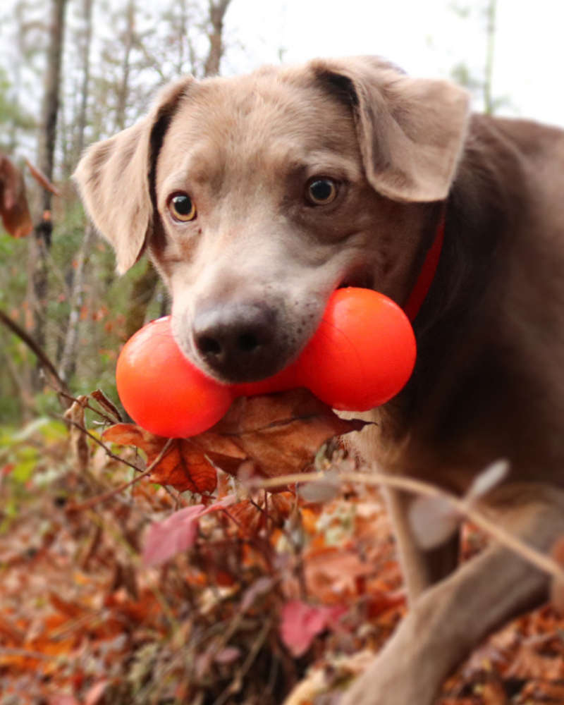 Bar-Bell Rubber Dog Toy<br>(Guaranteed Tough)<br>(Made in the USA) Play RUFF DAWG   