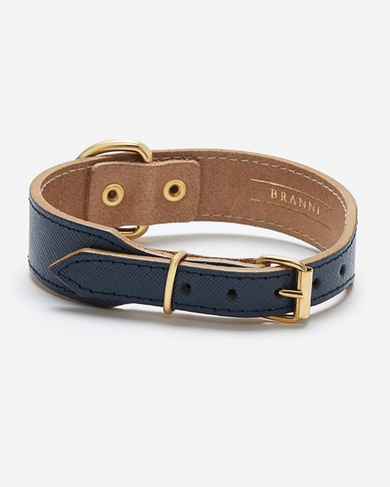 Moni Dog Collar in Navy Leather (Made in Italy) (FINAL SALE) Dog Collars BRANNI   
