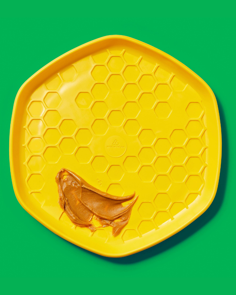 Hive 3-In-1 Dog Disc Toy (Made in the USA) Toys PROJECT HIVE PET COMPANY   