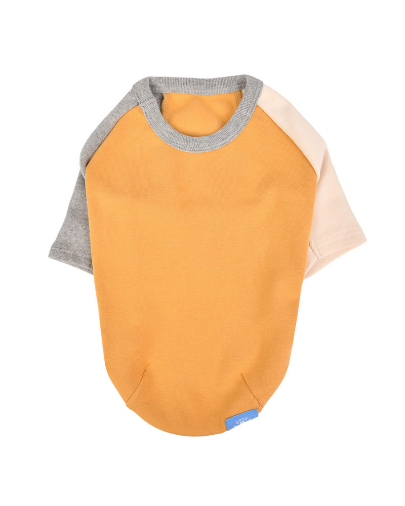 Color Block Dog T-Shirt in Yellow Wear OLCHI   