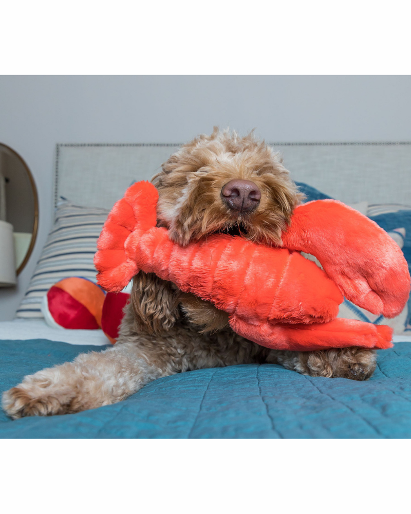 Manny the Lobster Plush Dog Toy Play FLUFF & TUFF   