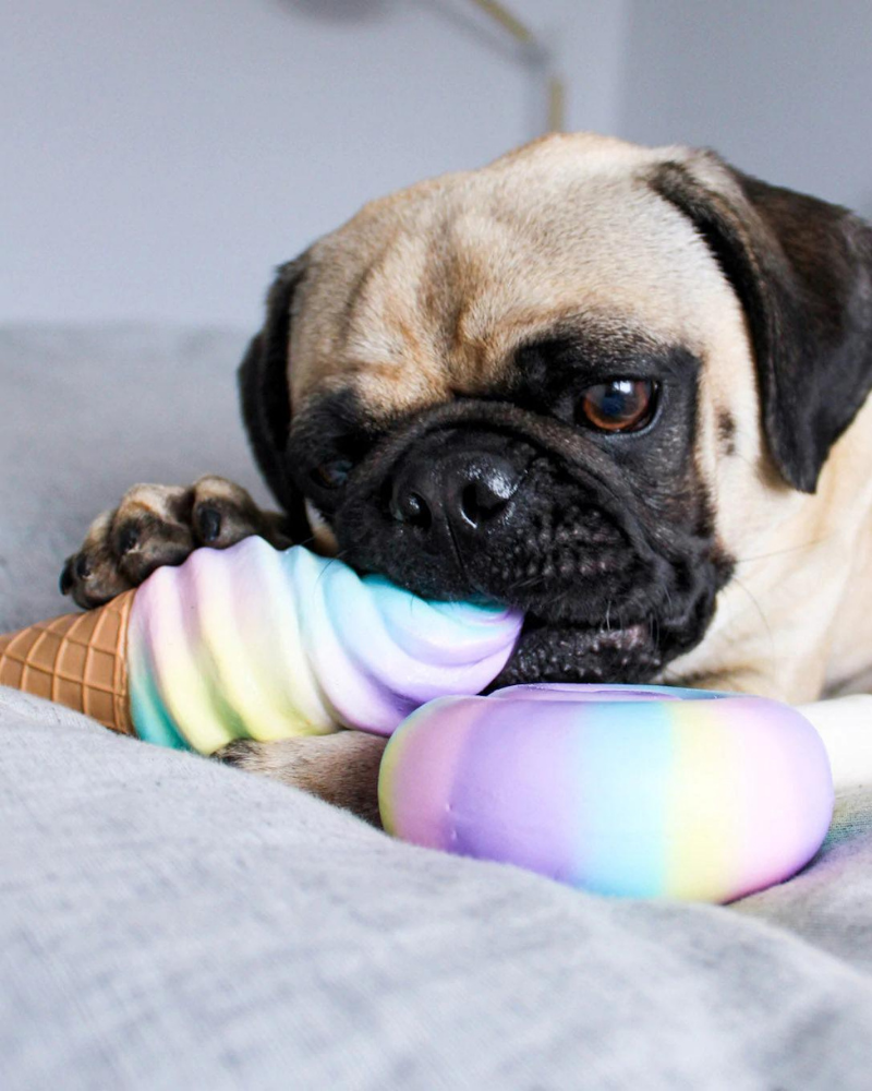 Rainbow Swirl Ice Cream Latex Squeaky Dog Toy (FINAL SALE) Dog Toys FOU FOU BRANDS   