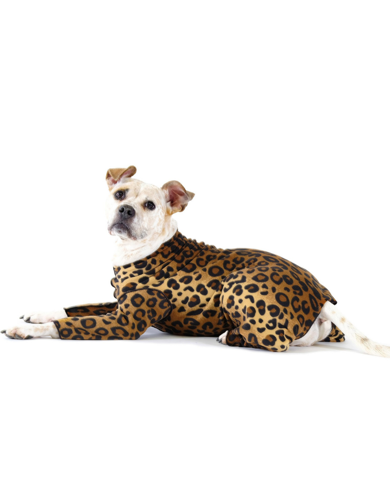 Stretch Fleece Onesie in Leopard (Made in the USA, DOG & CO. + GOLD PAW Exclusive!) Wear DOG & CO. COLLECTION   