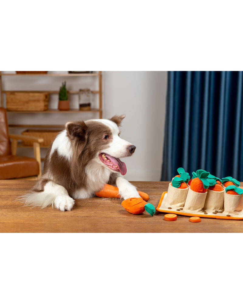 Carrot Patch Snuffle Feeding Toy for Dogs & Cats Play INJOYA   