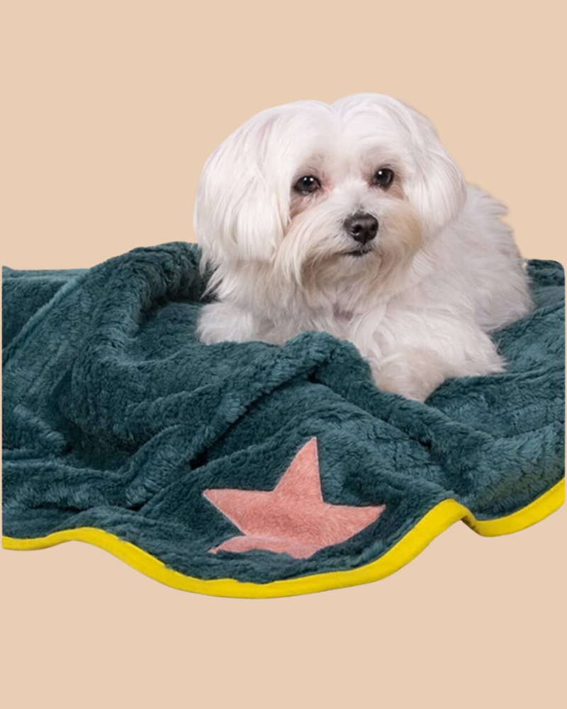 Star Plush Dog Blanket in Green w/ Yellow Trim (Made in Spain) HOME GROC GROC   